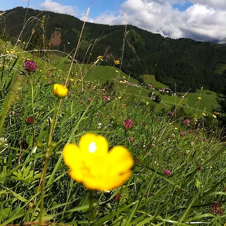 Goetschlhof Vendégház
