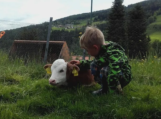 Goetschlhof 3* Schladming